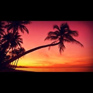 Meet your Posher, Cedric